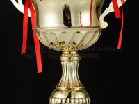 B体育体育培训-挪威足球队问鼎冠军奖杯，光荣到手