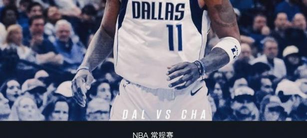 B体育体育官方-独行侠惨遭黄蜂绝杀，普里斯32分的简单介绍