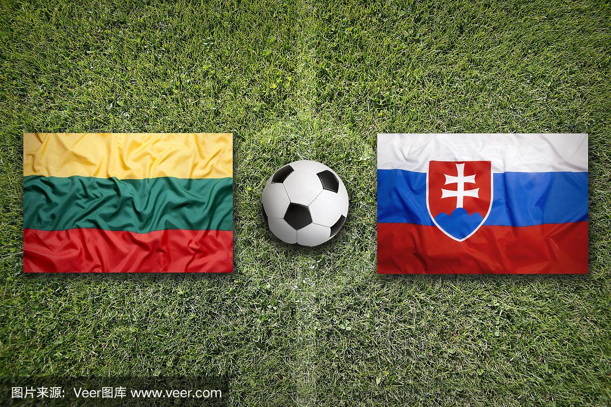 斯洛伐克在与立陶宛的比赛中取得胜利 斯洛伐克在与立陶宛的比赛中取得胜利