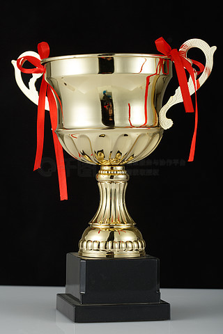 挪威足球队问鼎冠军奖杯，光荣到手